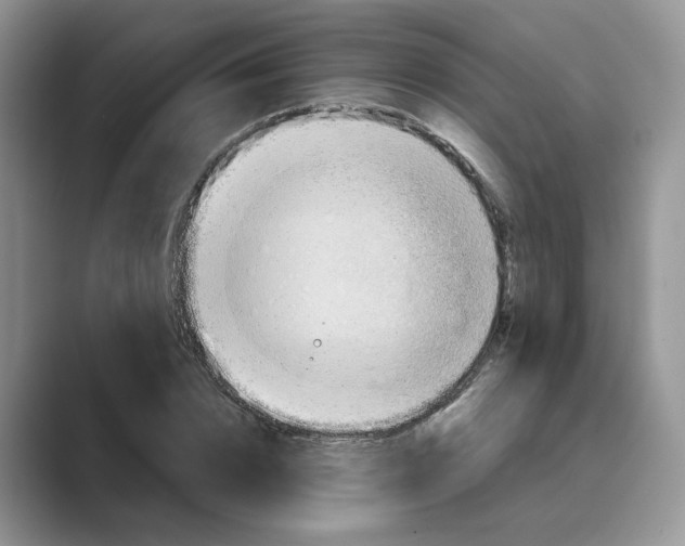 X0000088860832200707061049