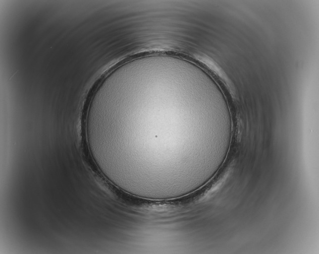 X0000088860834200707061049