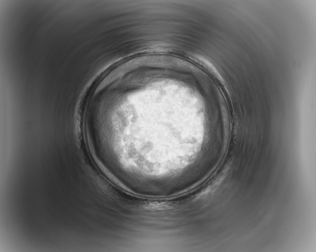 X0000088860835200707061049