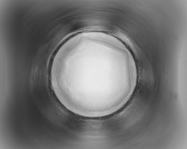 X0000088860836200707061049