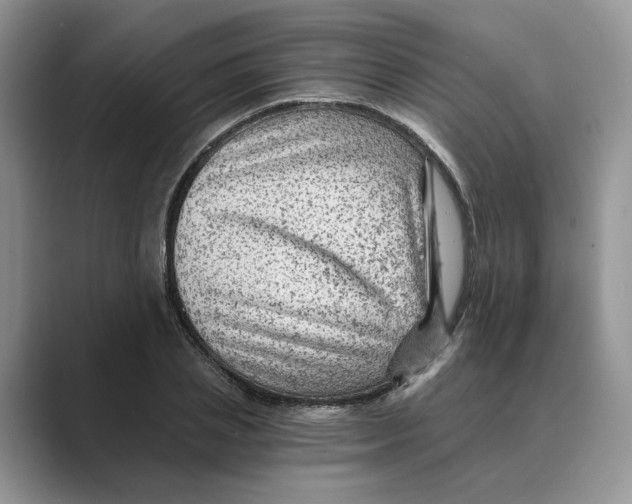 X0000088860837200707061049