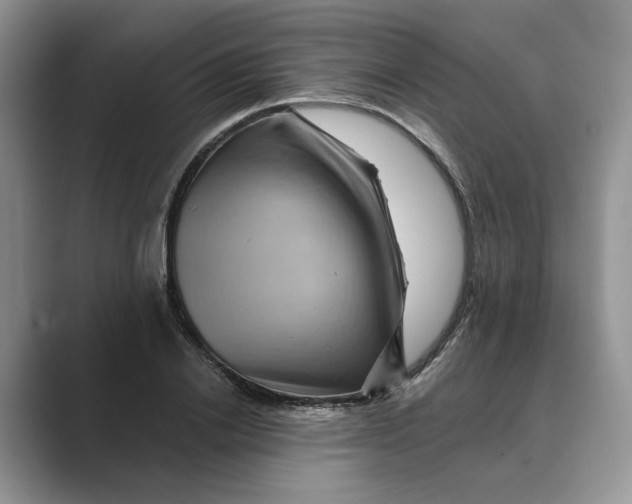 X0000088860838200707061049