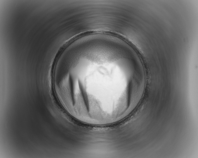 X0000088860840200707061049