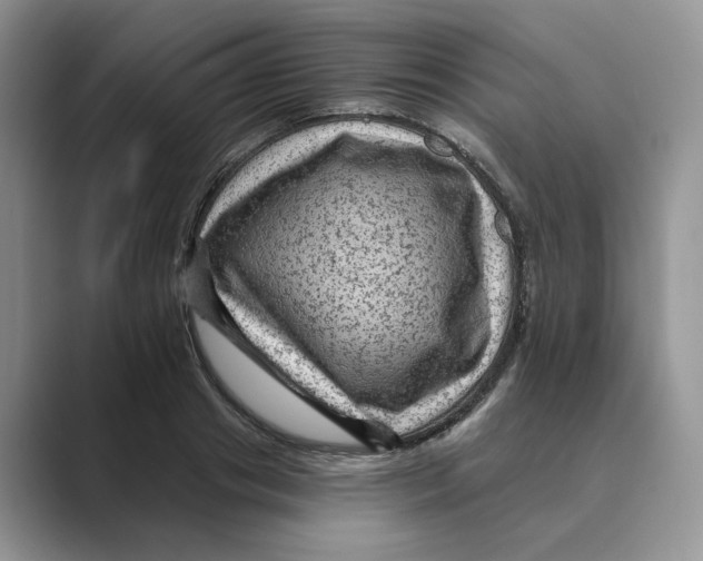 X0000088860841200707061049