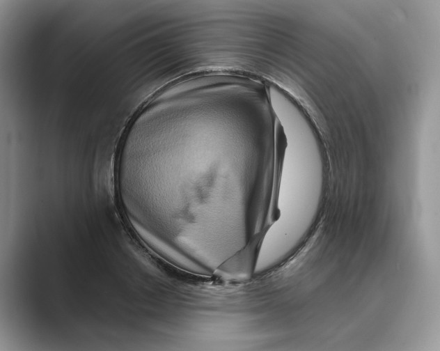 X0000088860842200707061049