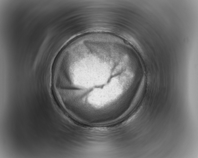 X0000088860844200707061049