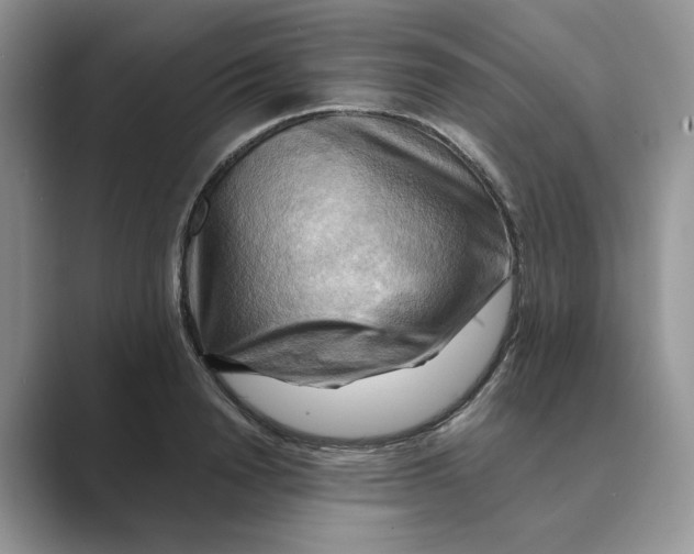 X0000088860846200707061049