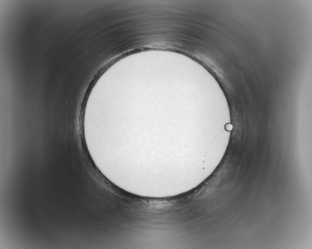 X0000088860848200707061049