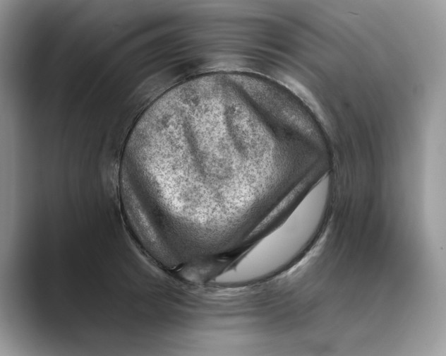 X0000088860849200707061049