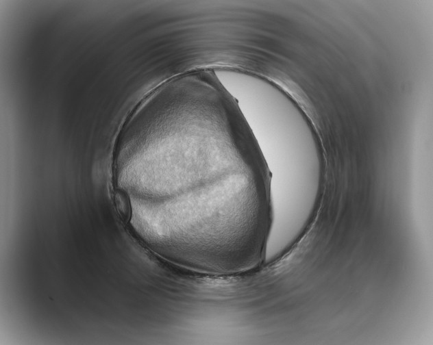 X0000088860850200707061049