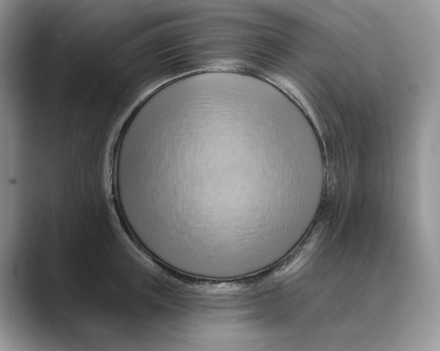 X0000088860851200707061049