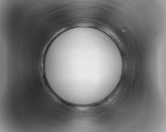 X0000088860852200707061049