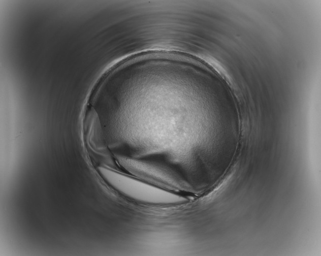 X0000088860854200707061049