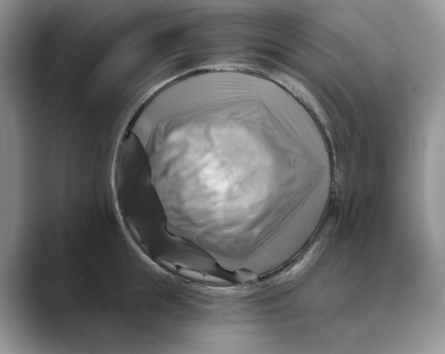 X0000088860855200707061049