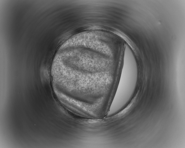 X0000088860857200707061049