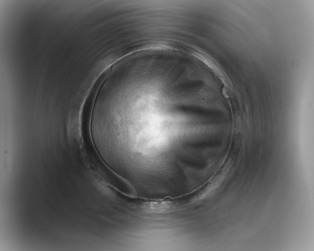 X0000088860858200707061049