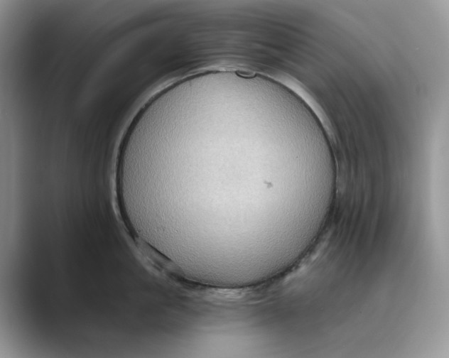 X0000088860861200707061049