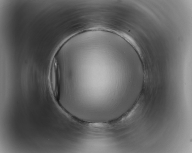 X0000088860863200707061050