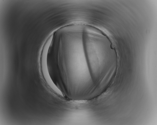 X0000088860864200707061050