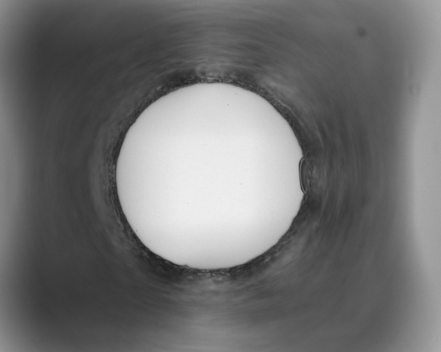 X0000088860865200707061049