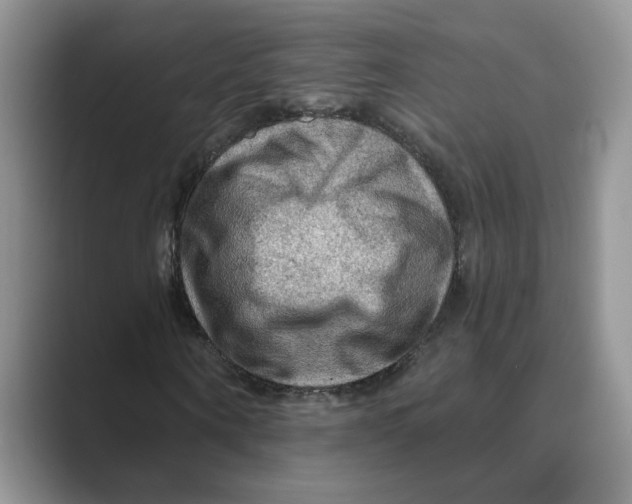 X0000088860866200707061049