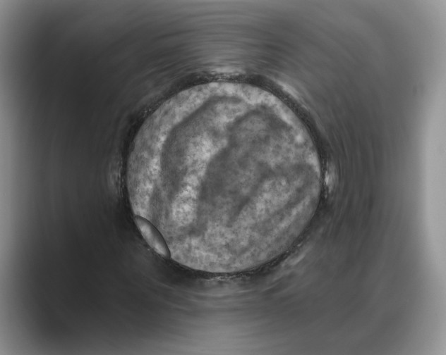 X0000088860867200707061049