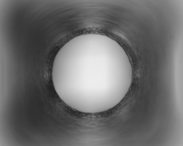 X0000088860869200707061049