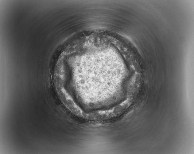 X0000088860871200707061049