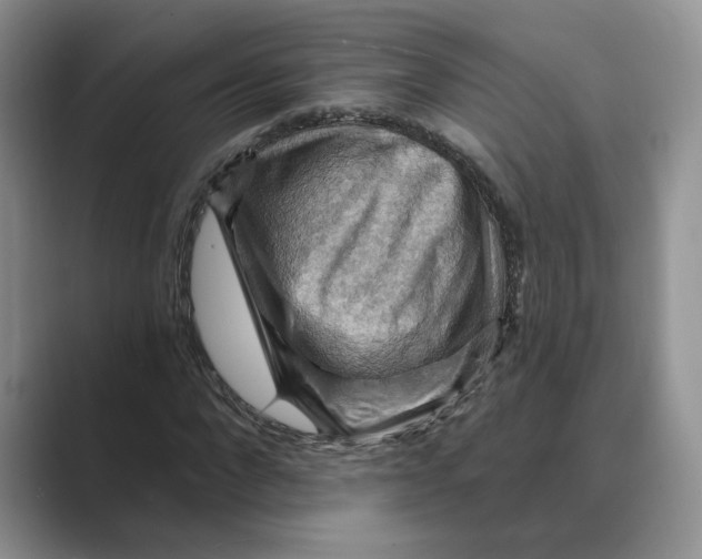 X0000088860872200707061049