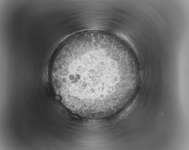 X0000088860875200707061049