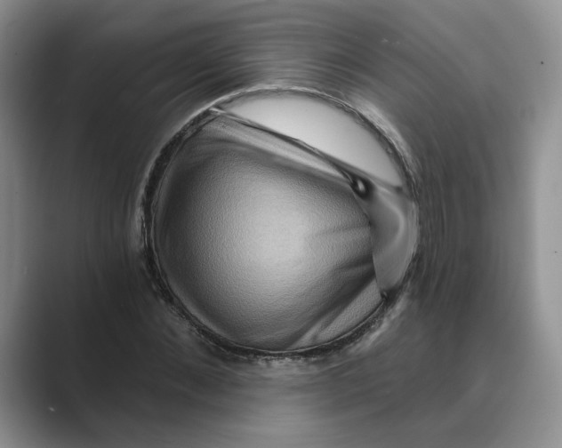 X0000088860876200707061049