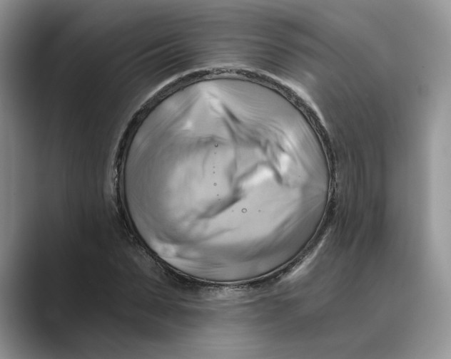 X0000088860879200707061049