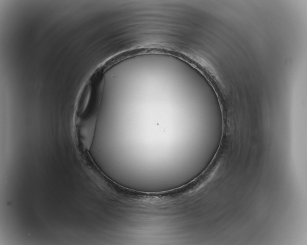 X0000088860880200707061049