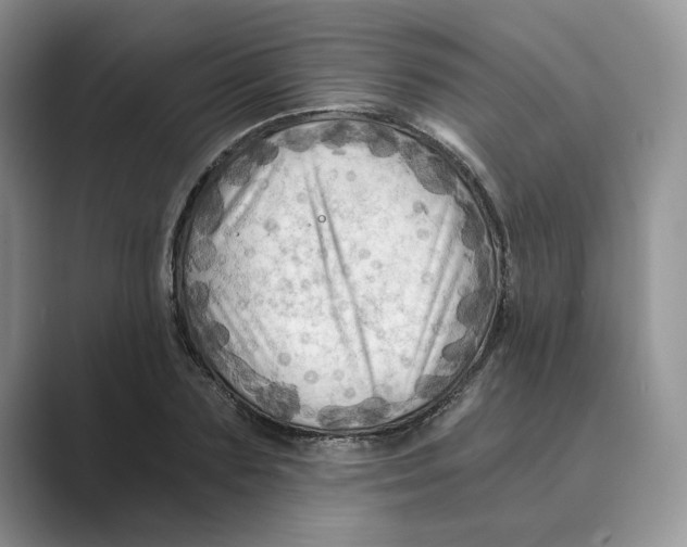 X0000088860883200707061049