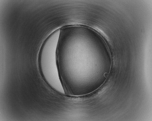 X0000088860885200707061049