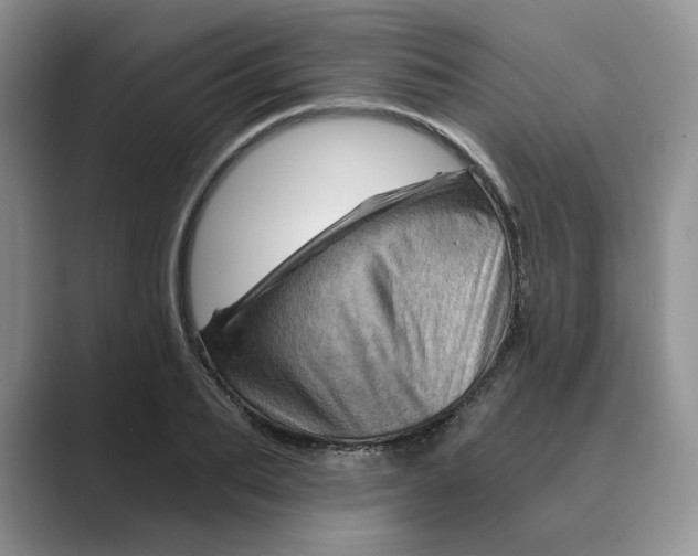 X0000088860887200707061049