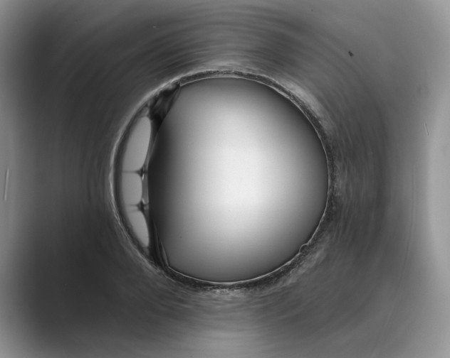 X0000088860888200707061049