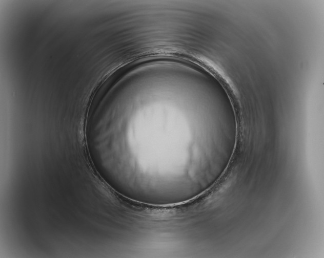 X0000088860889200707061049