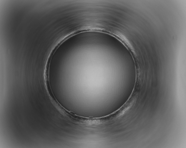 X0000088860893200707061049