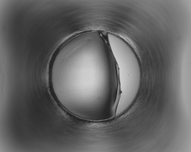 X0000088860894200707061049