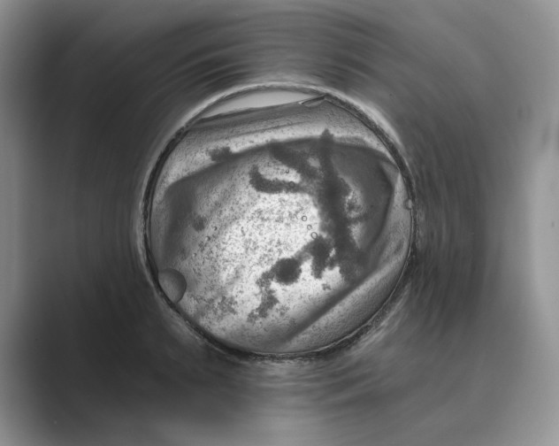 X0000088860895200707061049