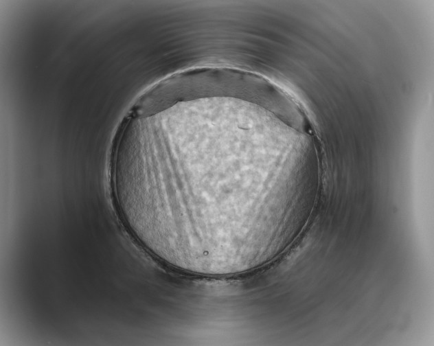 X0000088860896200707061049