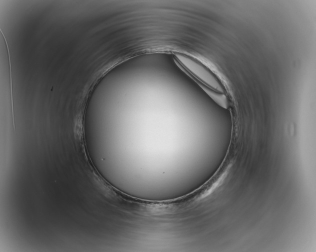 X0000088860897200707061049