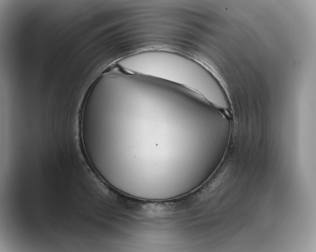 X0000088860898200707061049