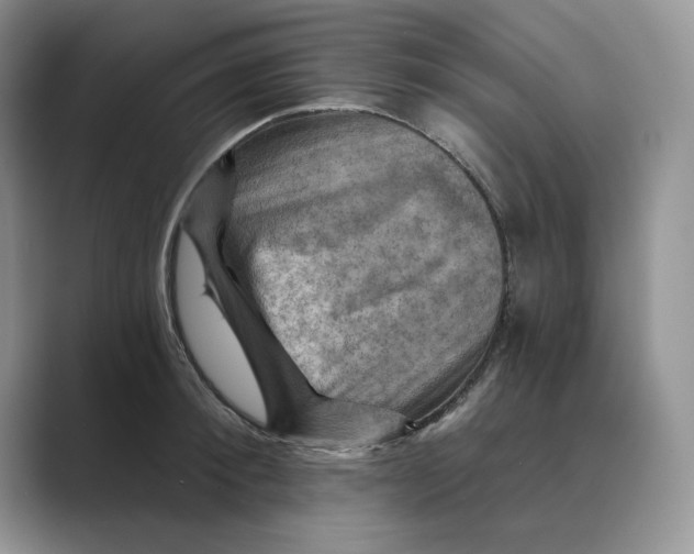 X0000088860900200707061049