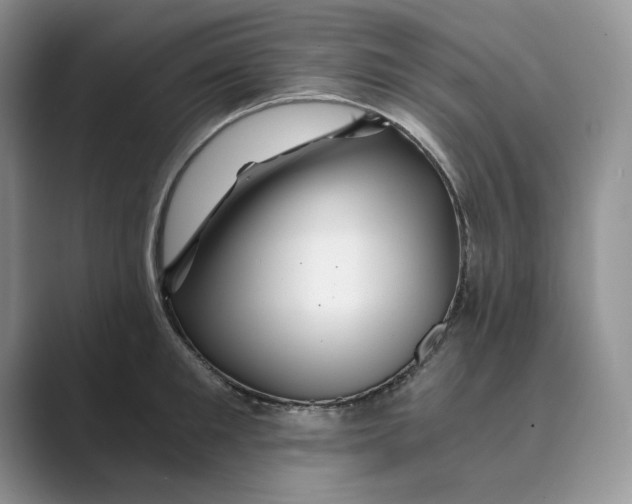 X0000088860901200707061049