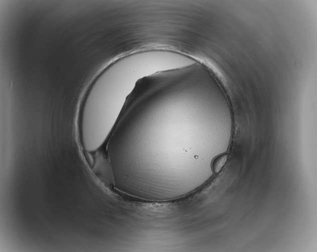 X0000088860902200707061049