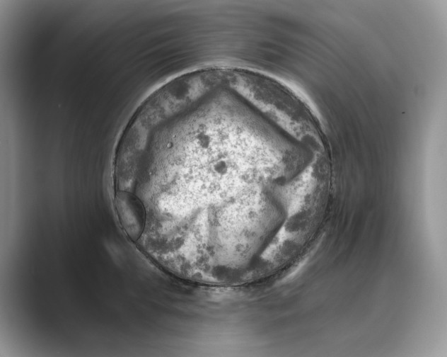 X0000088860903200707061049