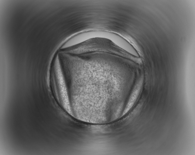 X0000088860904200707061049