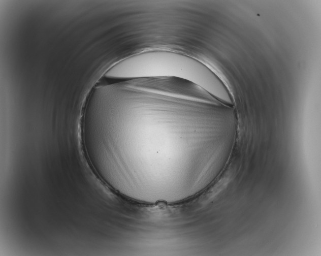 X0000088860906200707061048